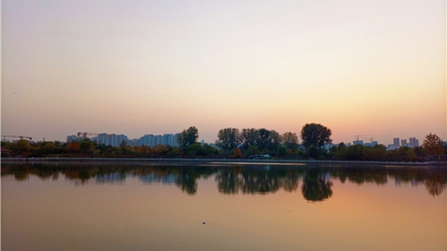 蘆花白，秋水寒