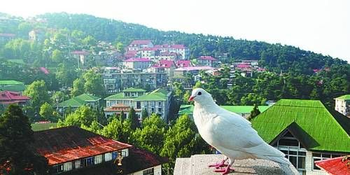  有著“云中山城”之稱的牯嶺鎮(zhèn)面臨著遷民下山。